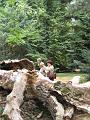 Arboretum 34